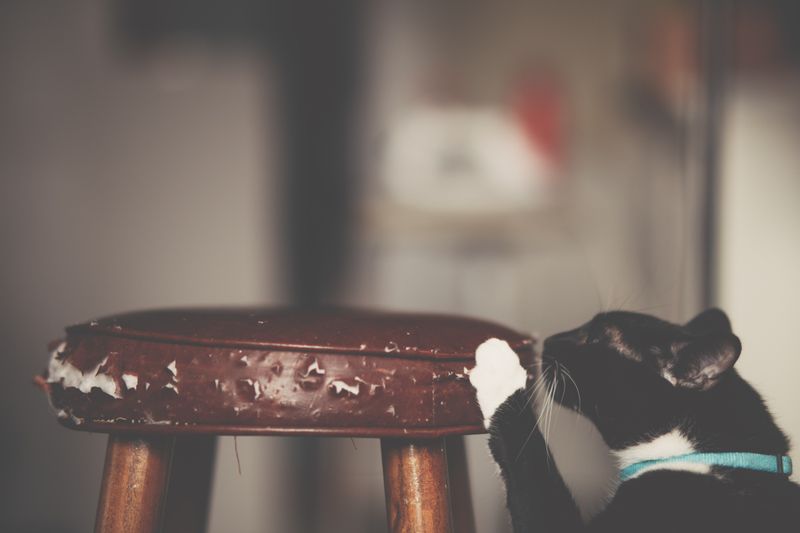 Cat scratching a compact stool scratcher