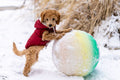 Puppy playing with a treat dispensing ball